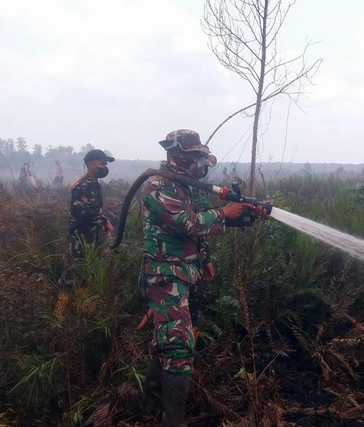 12 Hektare Karhutla di Talang Muandau Berhasil Dipadamkan, Tim Gabungan Fokus Dinginkan Lahan Gambut